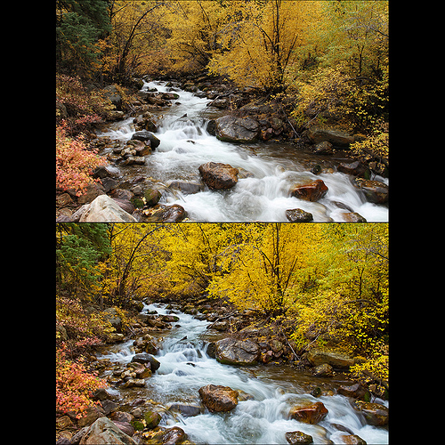 : Image Processing